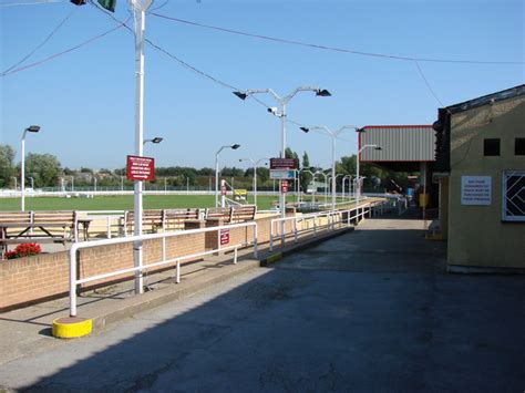 kinsley dog racing tips|14:48 Kinsley .